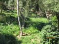 Juin2012 084.jpg
